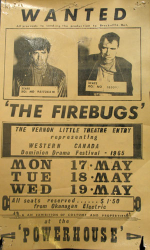 The Firebugs Poster